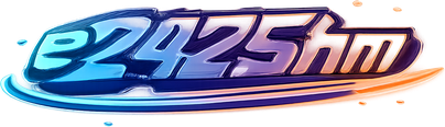 e2425hm